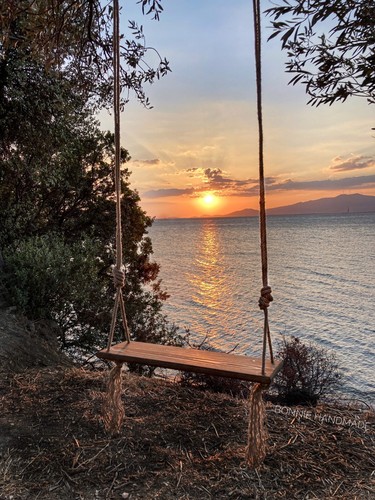 Tree swing wooden - tree, swing,